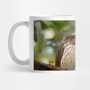 alb brown Mug